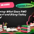 PMO Meaning_ What Does PMO Mean in Text and Slang Today Explained