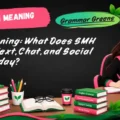 SMH Meaning_ What Does SMH Mean in Text, Chat, and Social Media Today_