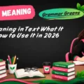 STSU Meaning in Text What It Means How to Use It in 2026