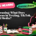 SYBAU Meaning_ What Does SYBAU Mean in Texting, TikTok, and Social Media