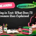 TS Meaning in Text_ What Does TS Mean_ Common Uses Explained