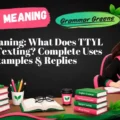 TTYL Meaning_ What Does TTYL Mean in Texting_ Complete Uses Guide, Examples & Replies