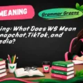 WS Meaning_ What Does WS Mean in Text, Snapchat, TikTok, and Social Media