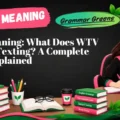 WTV Meaning_ What Does WTV Mean in Texting_ A Complete Guide Explained