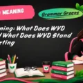 WYD Meaning_ What Does WYD Mean and What Does WYD Stand For in Texting