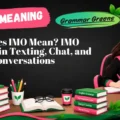 What Does IMO Mean_ IMO Meaning in Texting, Chat, and Online Conversations