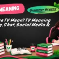 What Does TY Mean_ TY Meaning in Texting, Chat, Social Media & More