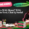 What Does WSG Mean_ WSG Meaning in Text, Chat & Social Media