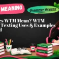 What Does WTM Mean WTM Meaning, Texting Uses & Examples Explained