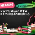 What Does WTW Mean_ WTW Meaning in Texting, Examples & Replies