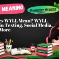 What Does WYLL Mean_ WYLL Meaning in Texting, Social Media, DMs and More