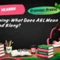 ASL Meaning_ What Does ASL Mean in Text and Slang