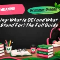 DEI Meaning_ What Is DEI and What Does DEI Stand For_ The Full Guide