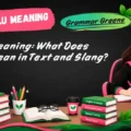 Delulu Meaning_ What Does Delulu Mean in Text and Slang
