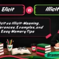 Elicit vs Illicit_ Meaning, Differences, Examples, and Easy Memory Tips