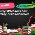 Fein Meaning_ What Does Fein Mean in Slang, Text, and Social Media