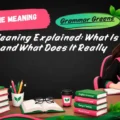 Pookie Meaning Explained_ What Is a Pookie and What Does It Really Mean