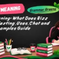 Rizz Meaning_ What Does Rizz Mean in Texting, Uses, Chat and Slang Examples Guide