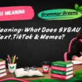 SYBAU Meaning_ What Does SYBAU Mean in Text, TikTok & Memes