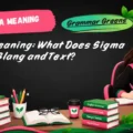 Sigma Meaning_ What Does Sigma Mean in Slang and Text