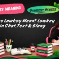 What Does Lowkey Mean_ Lowkey Meaning in Chat, Text & Slang