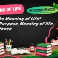 What Is the Meaning of Life_ Explore Purpose, Meaning of life, and Existence