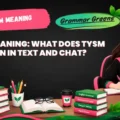 TYSM Meaning_ What Does TYSM Mean in Text and Chat